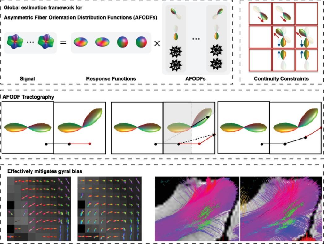 1572335503914089453.jpg 图1.jpg